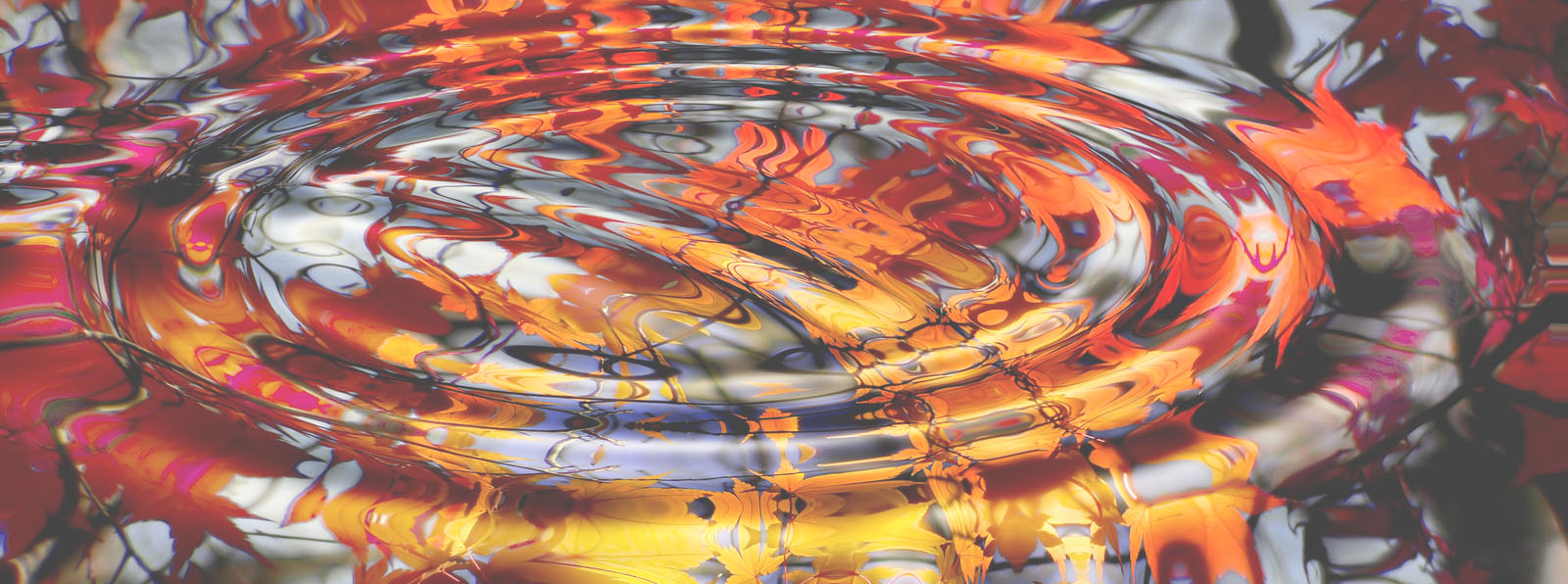 INNER TRANSITION RELAUNCH